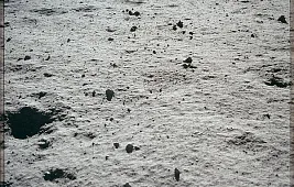 Что изучает космохимия