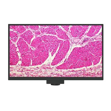 Камера цифровая MAGUS Vision 80 LCD