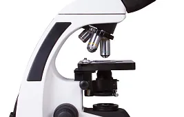 Сканирующая электронная микроскопия