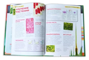 Детские энциклопедии Levenhuk. Астрономия. Биология. (4 книги), изображение 12