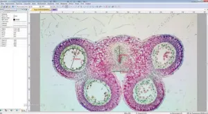 Видеоокуляр ToupCam 1,3 Мпикс (SCMOS01300KPA), изображение 2