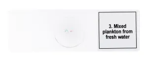 Набор микропрепаратов Levenhuk Discovery Prof DPS 5. «Жизнь в капле воды», изображение 7